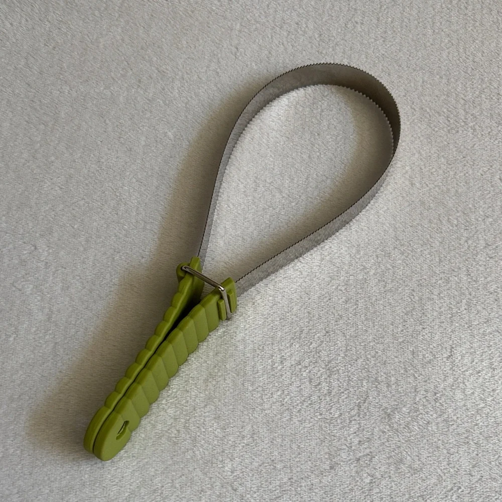 Green and Silver Dog Brush